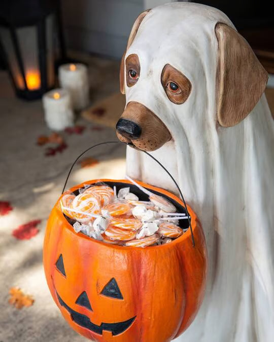 🎃🔥Ghost Dog & Cat Candy Bowl