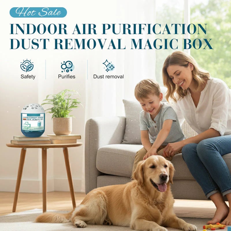 🔥 Limited-Time Pre-Sale⏰Indoor Air Purification Dust Removal Magic Box🏠
