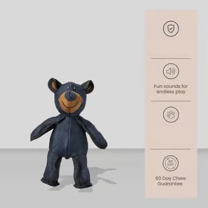 🧸2026 New Bear for Small chewers