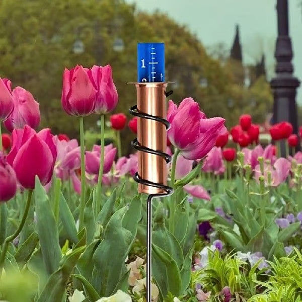 World's Coolest Rain Gauge